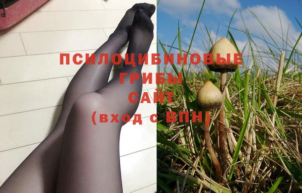 бошки Осинники