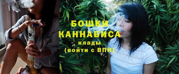бошки Осинники